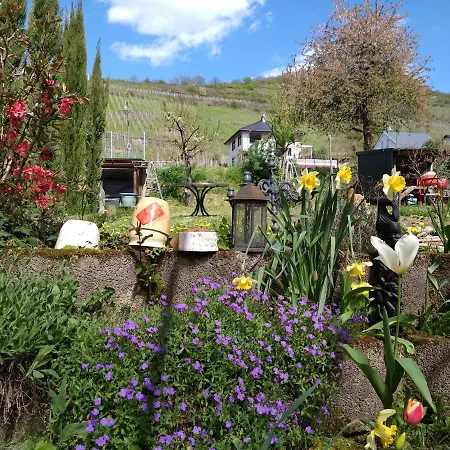 Casa Alfredo Tatil Evi Pommern